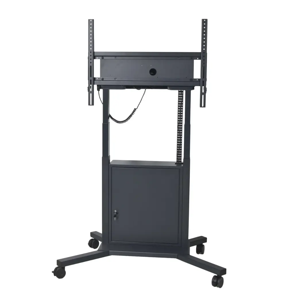 TECmount DS1000M Premium